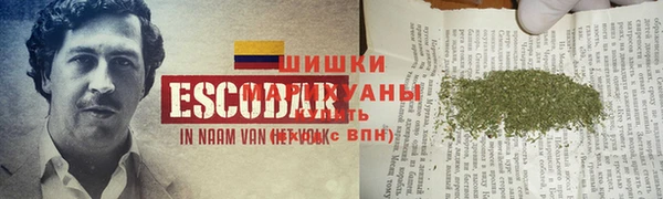 2c-b Богородицк