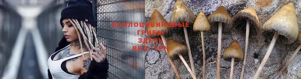 винт Богданович