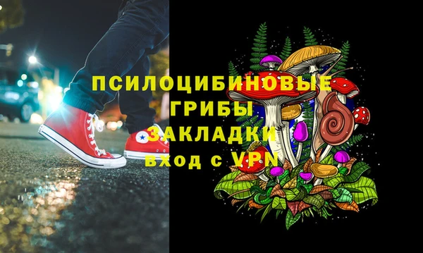 2c-b Богородицк