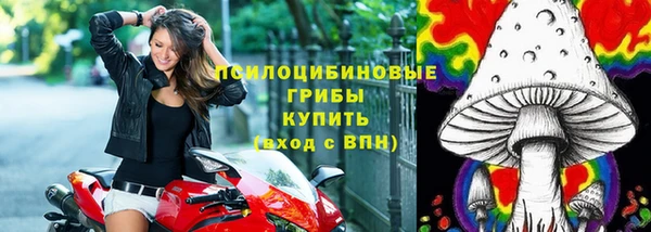 2c-b Богородицк